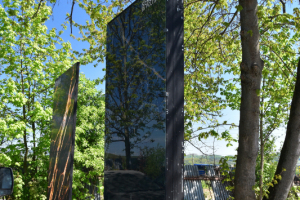 DSC_0200.JPG