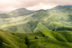 0604 green mountain.jpg