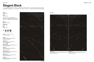 marazzi-book-elegantblack.jpg