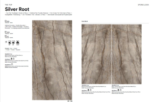 marazzi-book-silverroot.jpg
