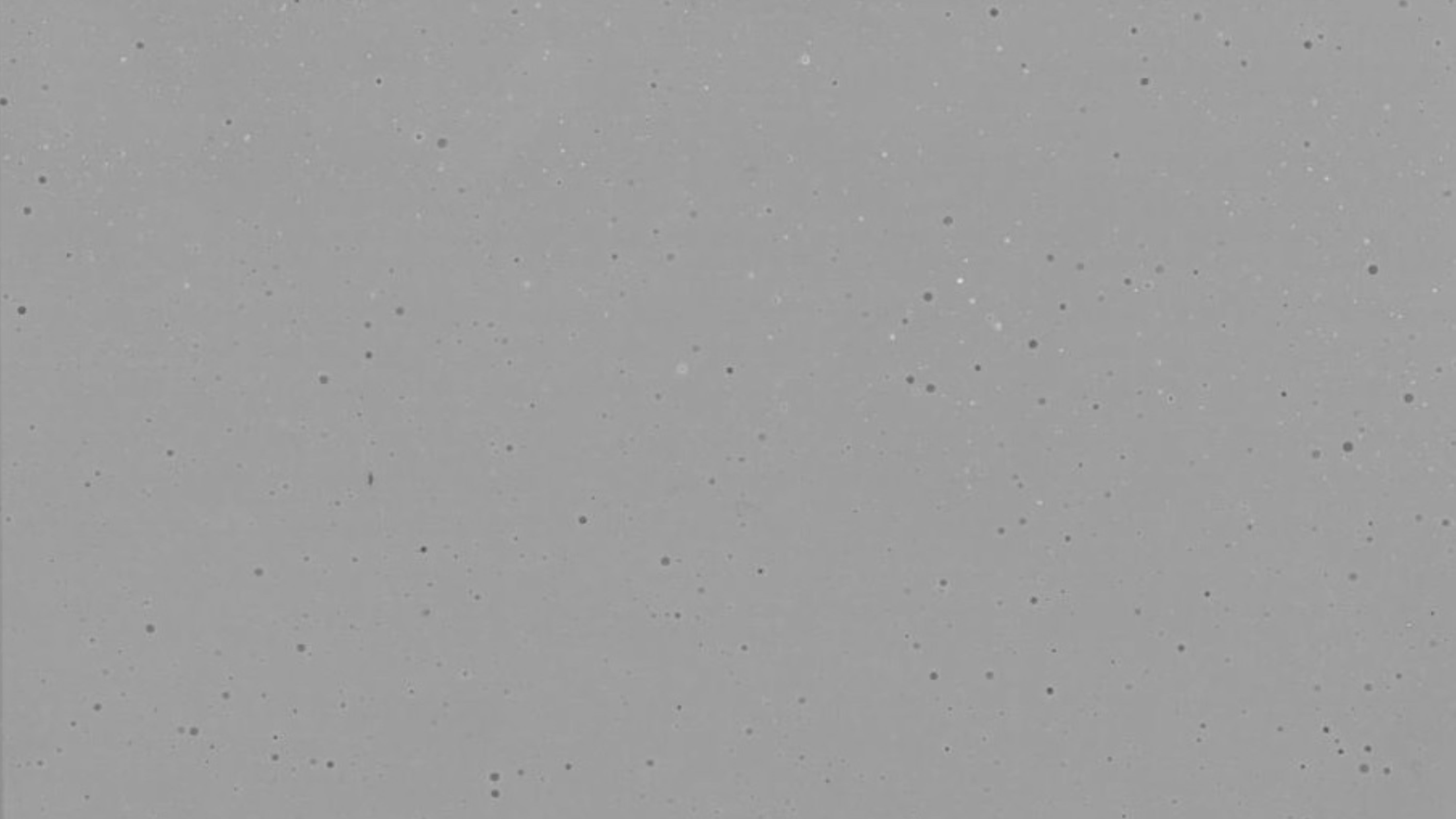 Novinka - 1702 BETON MIDY GREY