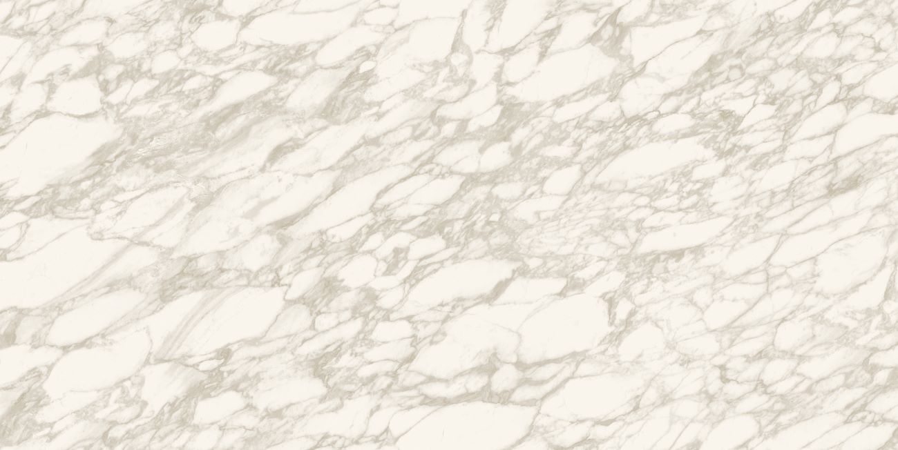 calacatta royal