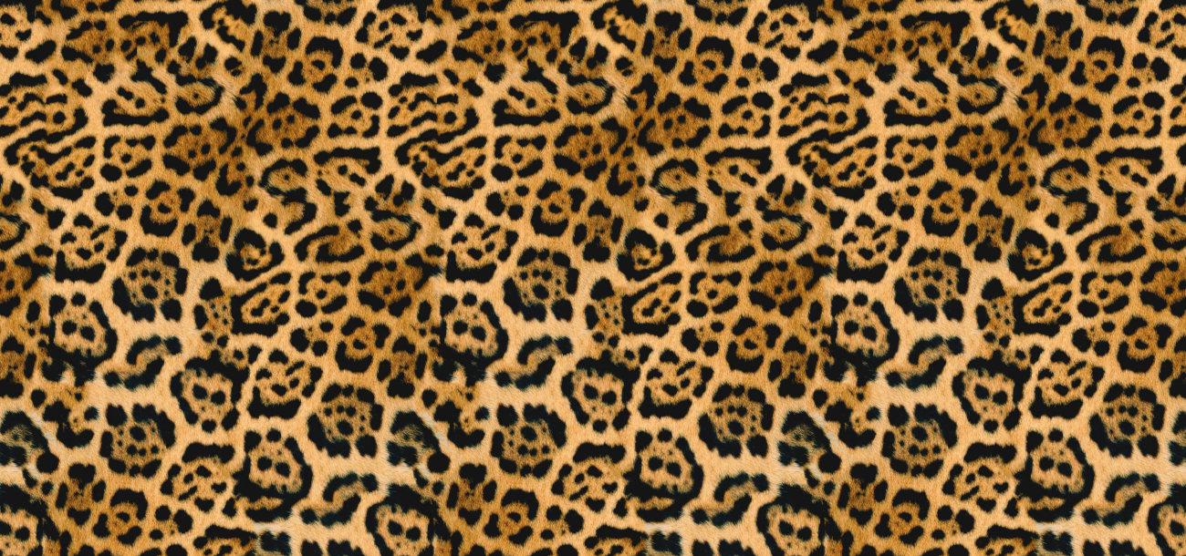 0048 leopard skin