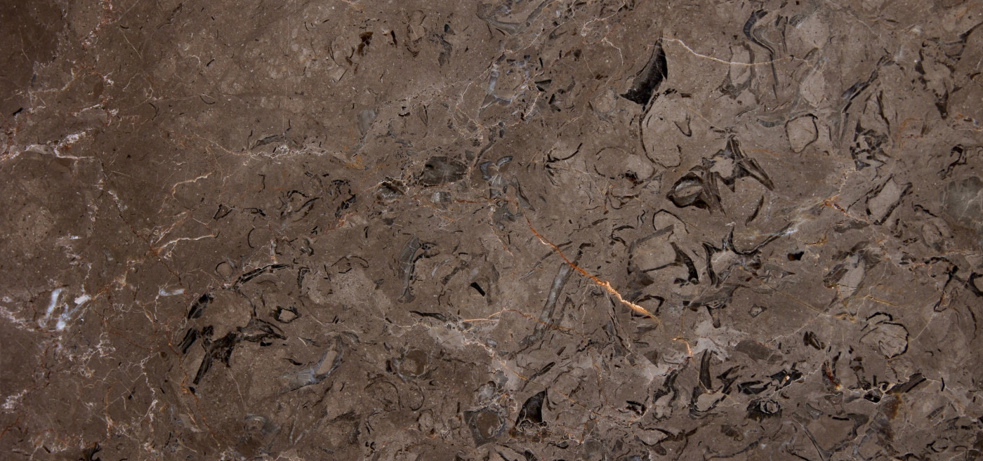 Brown Marble_Polished